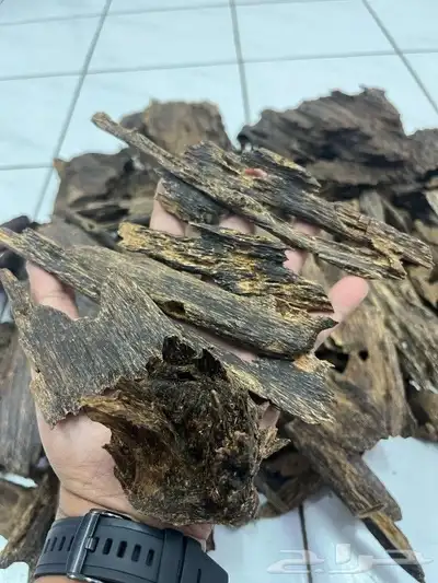 مالينو فاخر دبل وتربل 0
