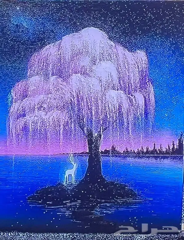 لوحات ابداعيه لطفلتي 0