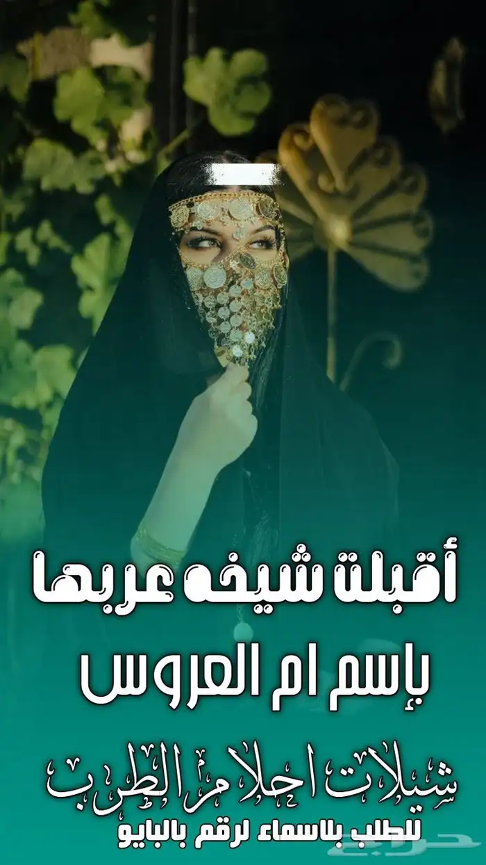 استديو احلام الطرب لتنفيذ الزفات والشيلات 16