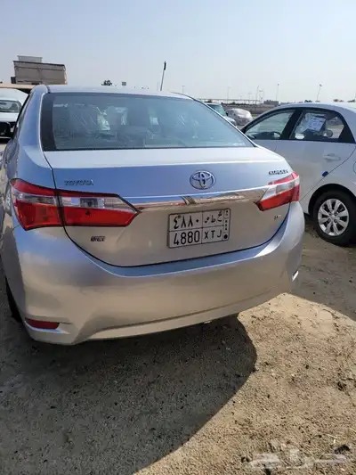 القطيف 3