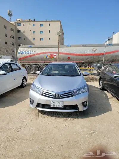 القطيف 0
