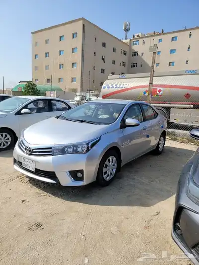 القطيف 1