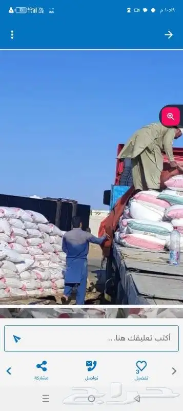 ملح بحري جمله 1
