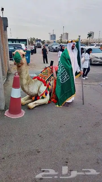 السلام عليكم ورحمه الله وبركاته يوجد لدينا جميل وخيول الجي و 0
