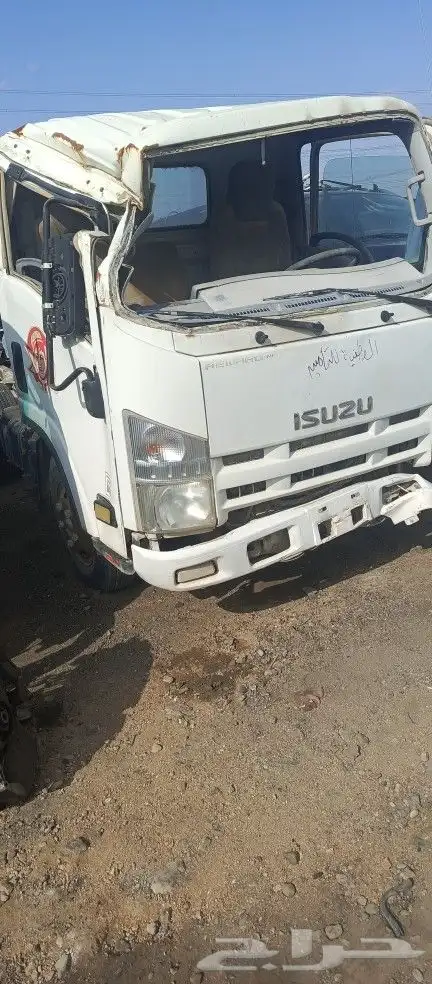 دينا ايسوزو 2015 0