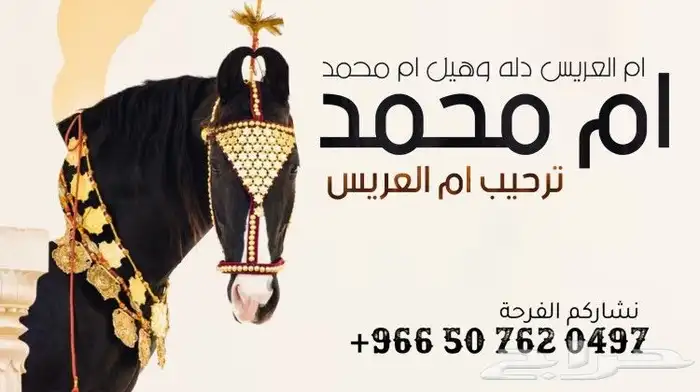 شيلة زواج شيلة ملكة شيلة تخرج شيلة عروس شيلة ترحيب بالضيوف 0