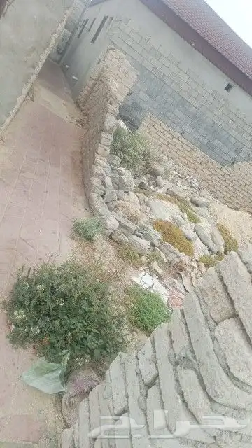 للبيع 0