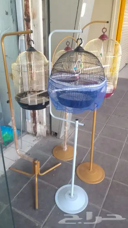 قفص علاق 3