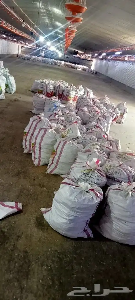 سماد دجاج لاحم ممتاز لجميع انواع الزراعه بيشه 0