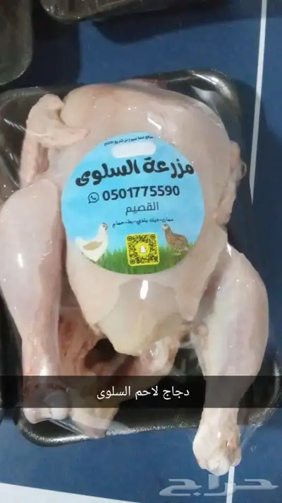 دجاج اللاحم يذبح حسب الطلب السلوى 0