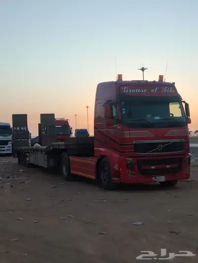 لوبد متواجد ضباء شرما تبوك البدع 0