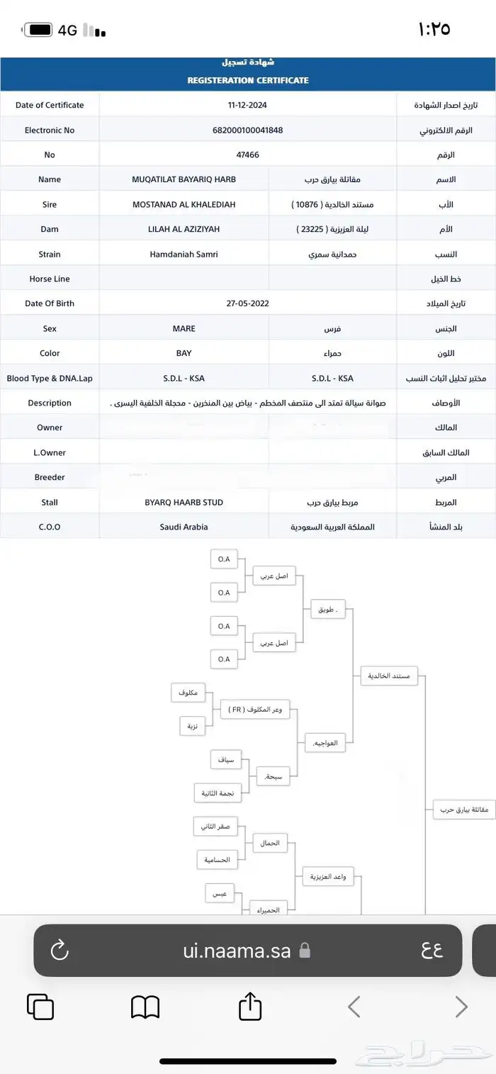 مهره واهو شيخه 2
