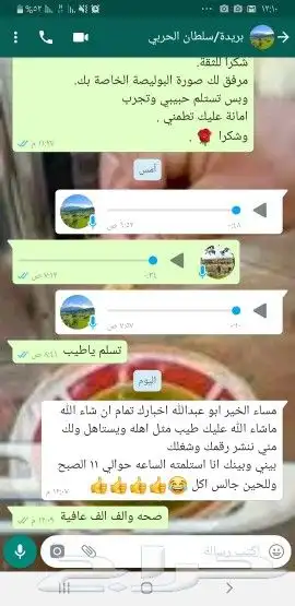 زيت زيتون فلسطيني بكر بعل جديد لكل المناطق 36