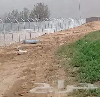 شبك مزرعه شبوك مزارع تركيب 11