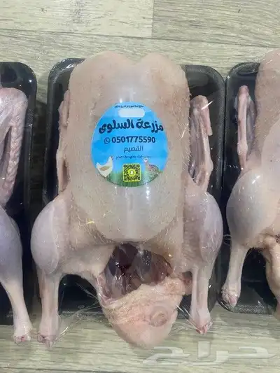 بط بكين السلوى 0