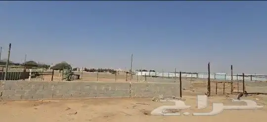 حوش إبل غنم 0