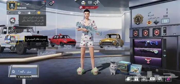 حساب ببجي للبيع 2