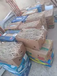 يوجد لدينا لقاح حق هذه السنه للبيع سعر مناسب 0