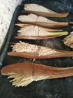يوجد لدينا بار نخيل طيب 1