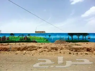 رسومات جدارية 4