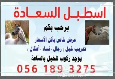 اسطبل السعاده مفرق الرماح يوجد ايوا 3
