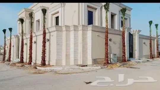 يوجد لدينا جميع انواع النخيل العربي والزينه الواشنطني 8