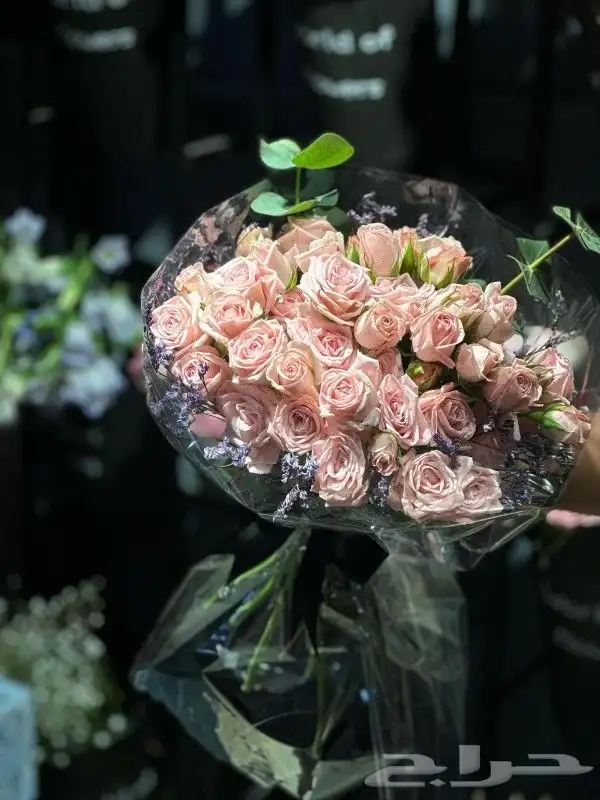 مندوب توصيل طلبات و مشاوير داخل ينبع والهيئة الملكية 0