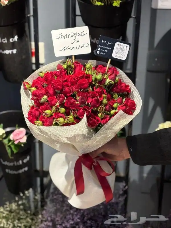 مندوب توصيل طلبات و مشاوير داخل ينبع والهيئة الملكية 4