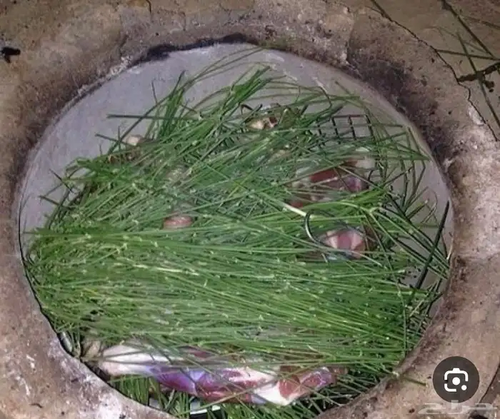 متوفر الان في الرياض مرخ الحنيذ   واللوز البلدي بسعر الجمله 5