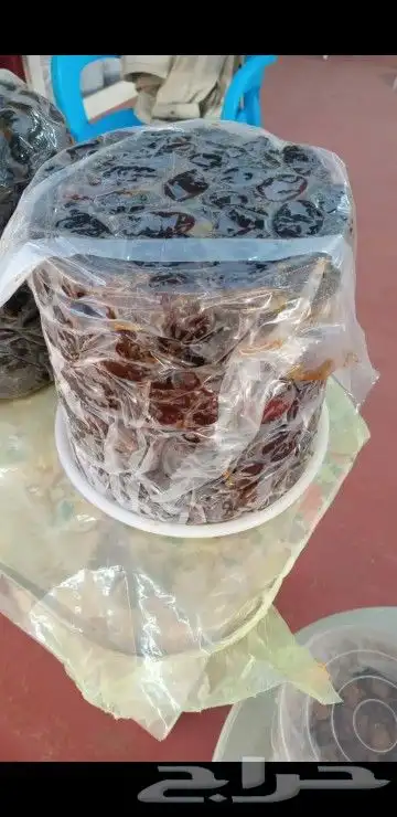 مهرجان تمور الجوف 6