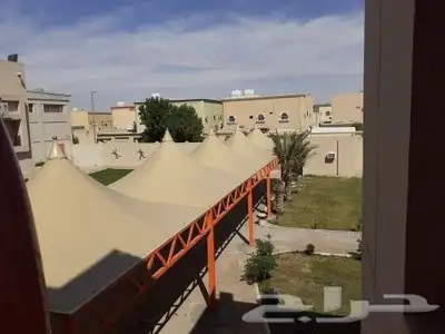 اعمال مضلات وشبوك 2