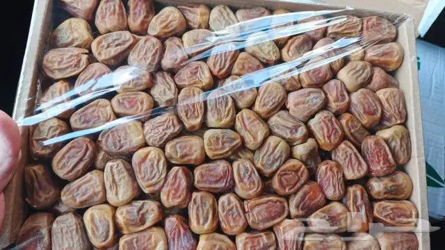 تمر سكري مفتل 2