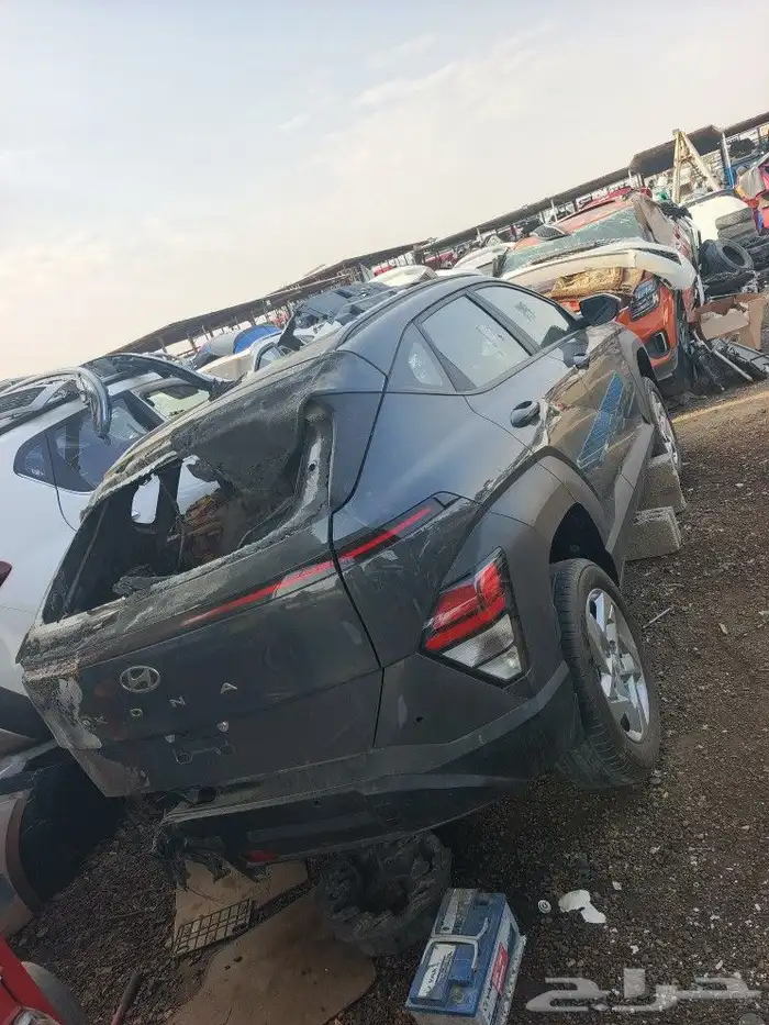 كونا 2024-2025 0