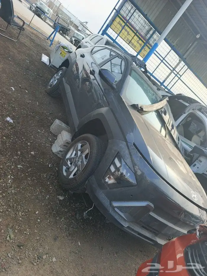 كونا 2024-2025 4