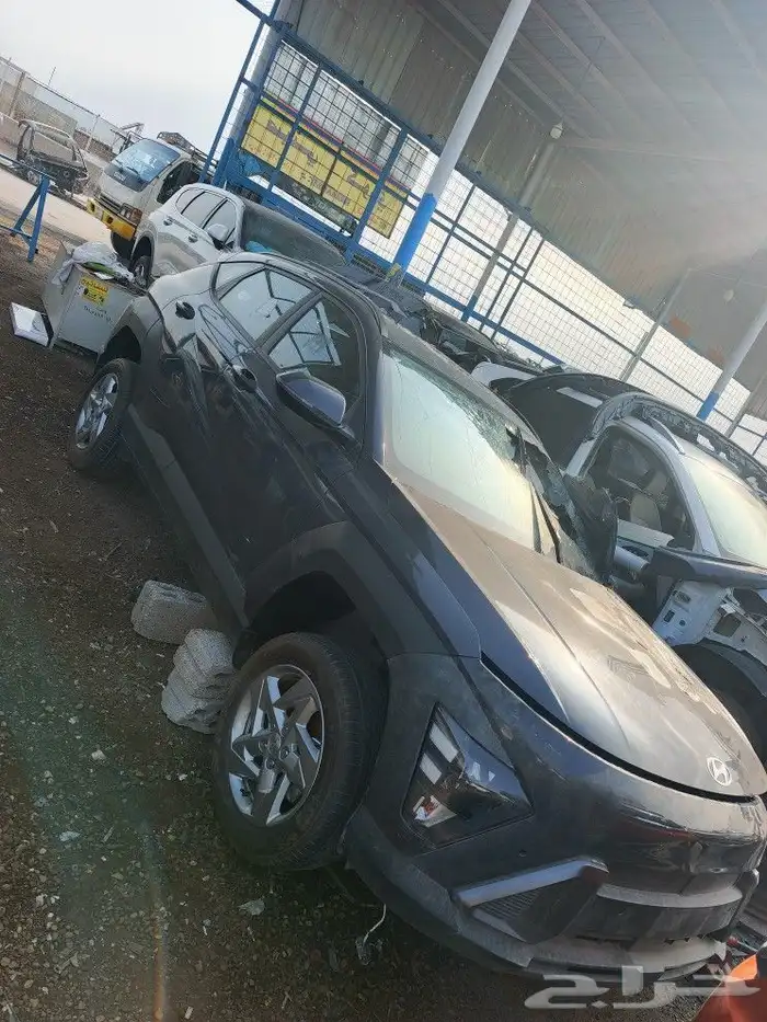 كونا 2024-2025 1