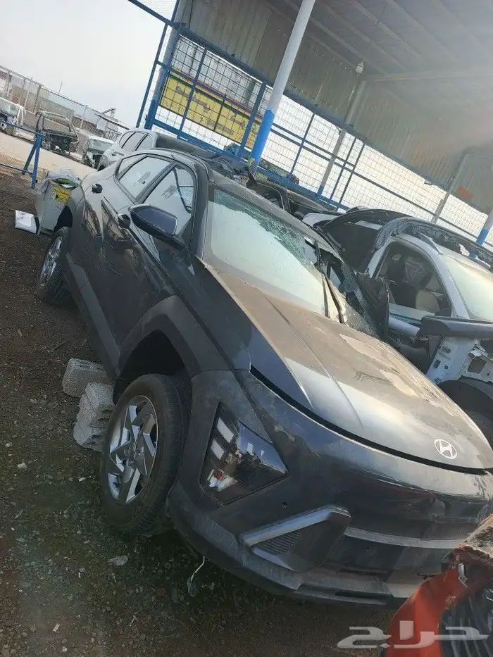 كونا 2024-2025 2