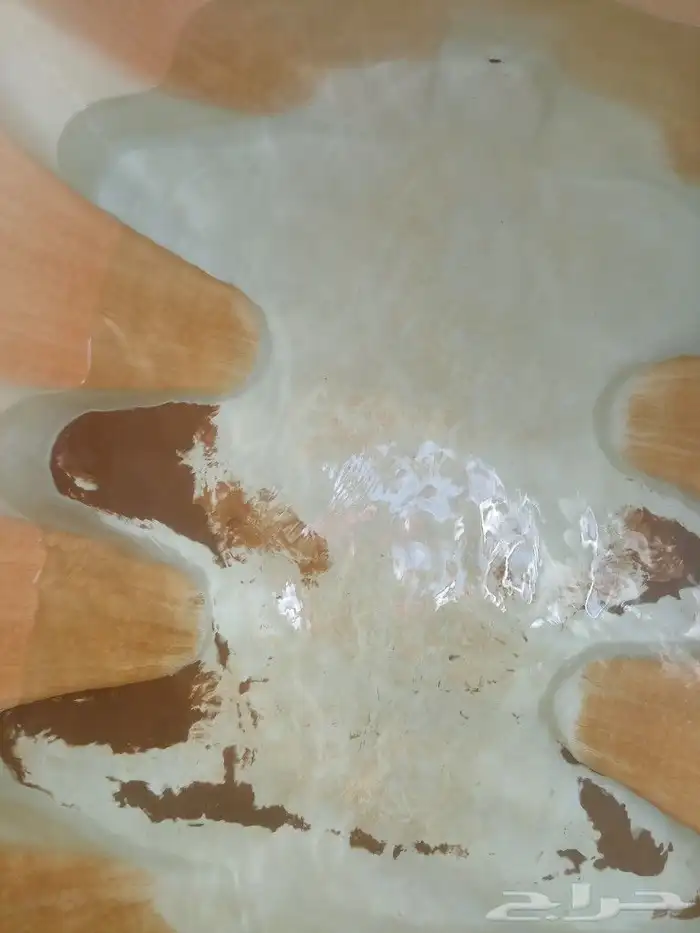 شركة تنظيف بالطائف تنظيف شقق فلل خزانات تنظيف بالبخار 2