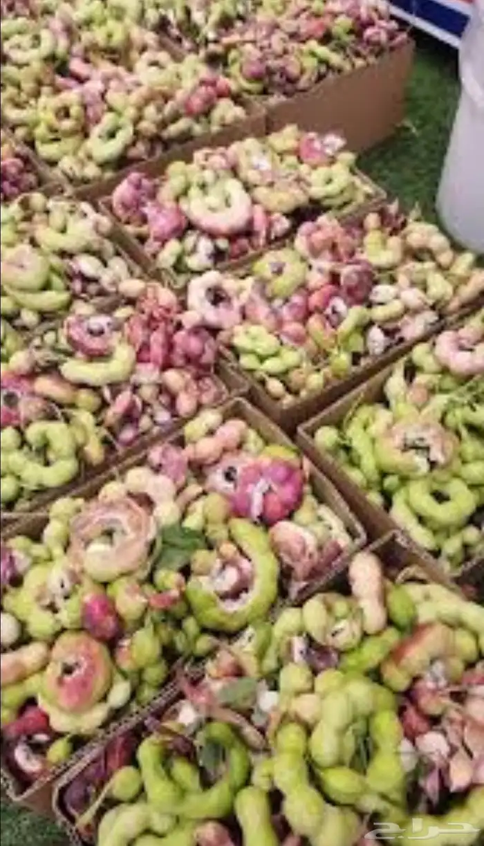 متوفر الان في الرياض مرخ الحنيذ   واللوز البلدي بسعر الجمله 2