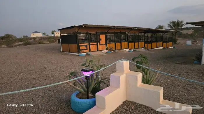 مربط الراحة لايواء الخيل 1