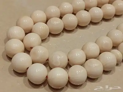 مسباح سبحة عاج ماموث كريمي 99 خرزة 5