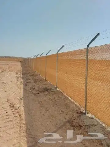 غراسه النخيل توريد وغرس جميع انواع النخيل تبوك 7