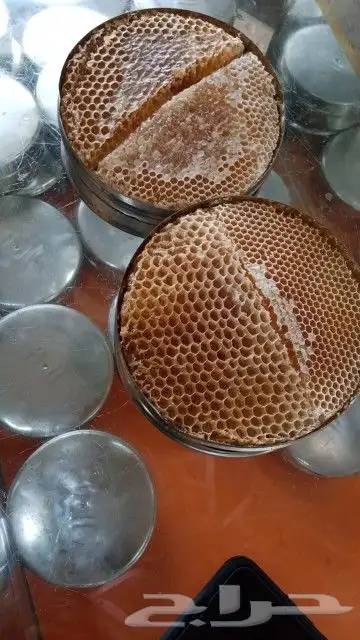 عسل سدر درجة أولى مشروط شي فاخر من الآخر 2