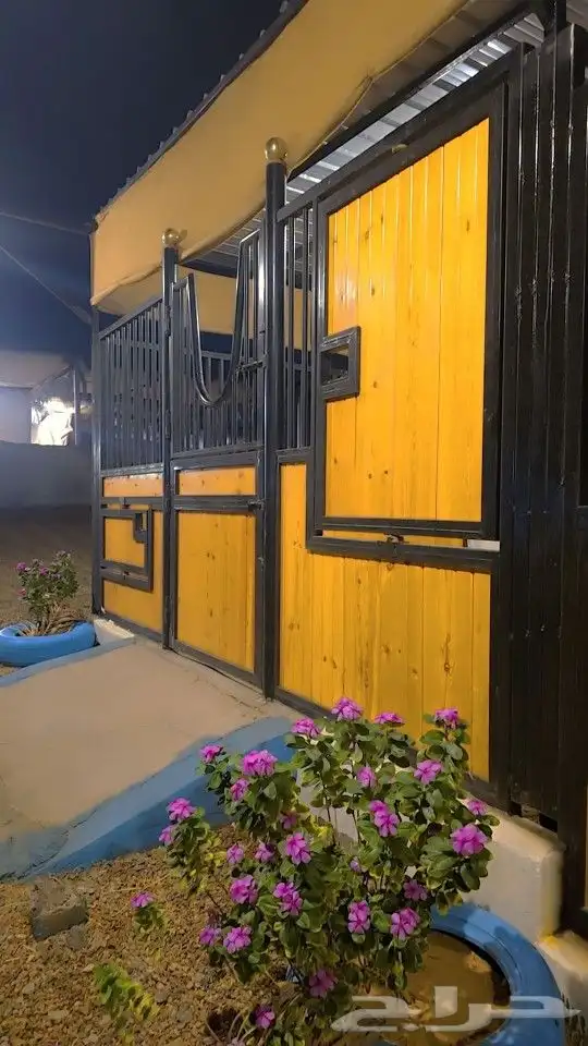 مربط الراحة لايواء الخيل 9