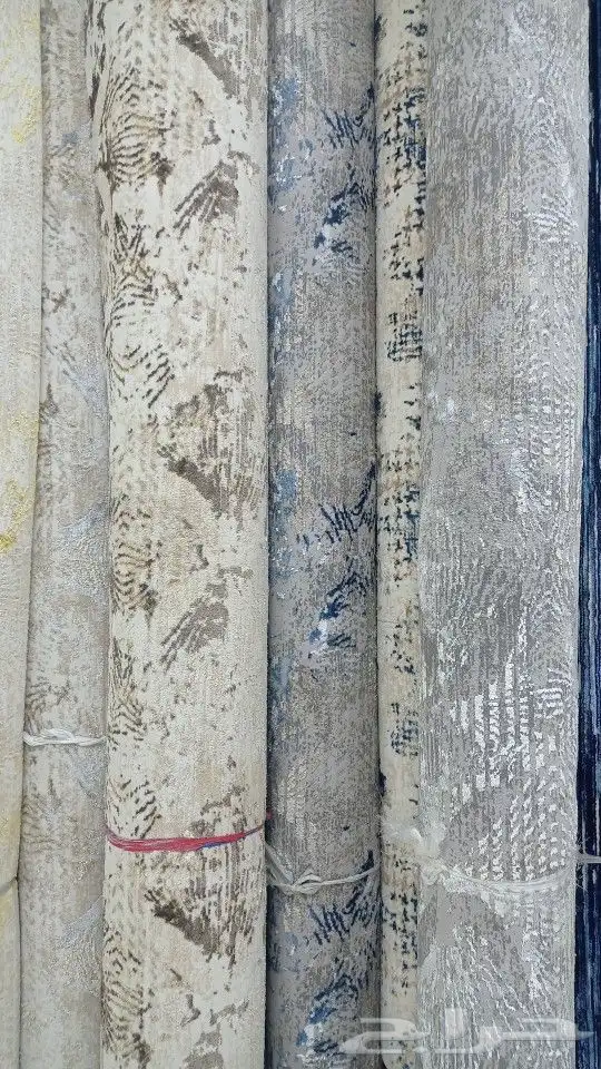 موقعنا فى بيشه 16