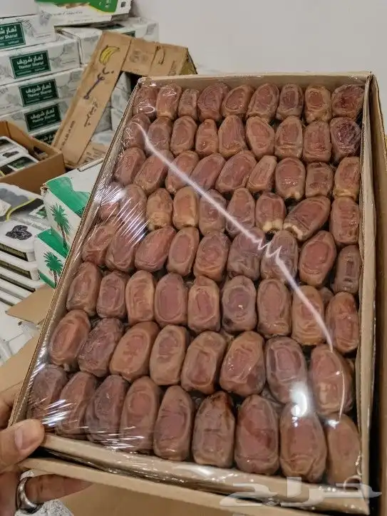 صقعي رطب حبه كبير 1