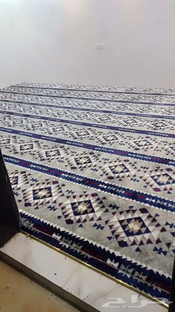 موقعنا فى بيشه 8