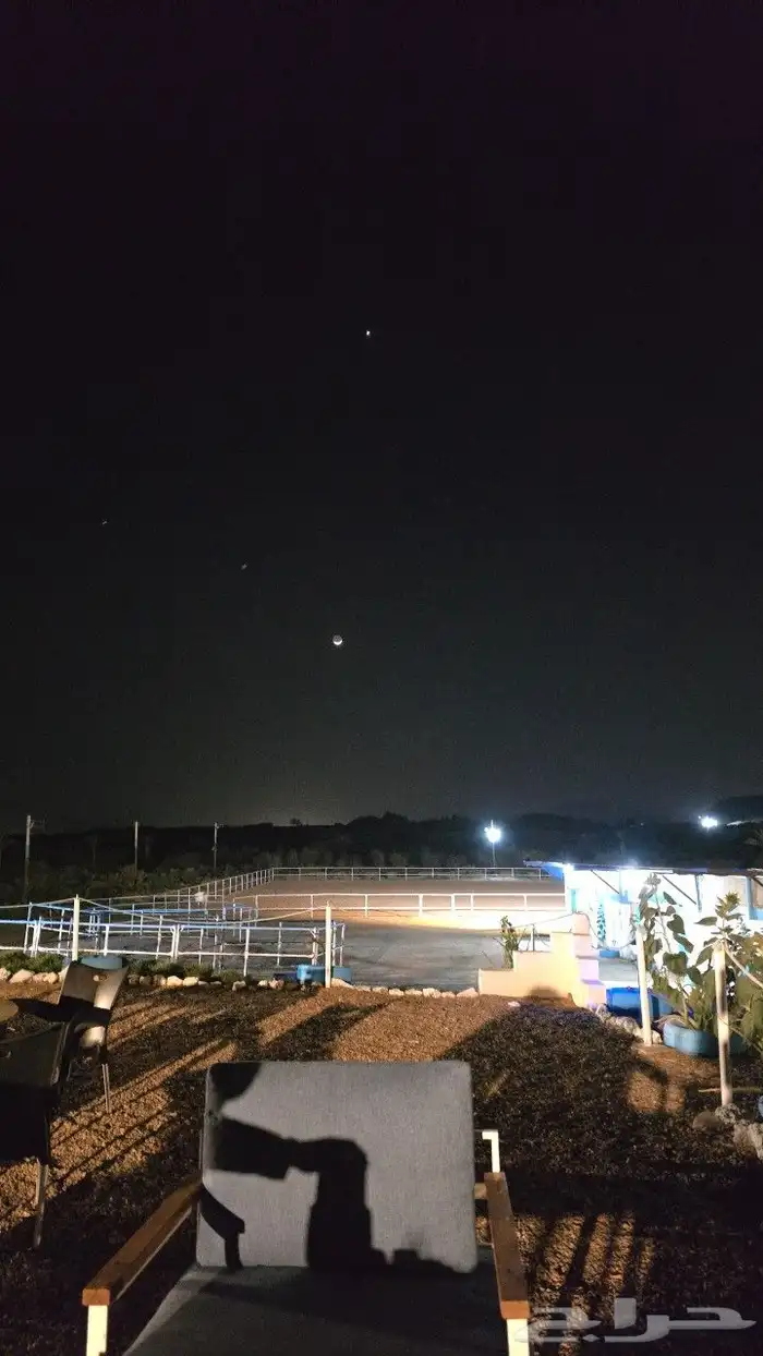 مربط الراحة لايواء الخيل 15