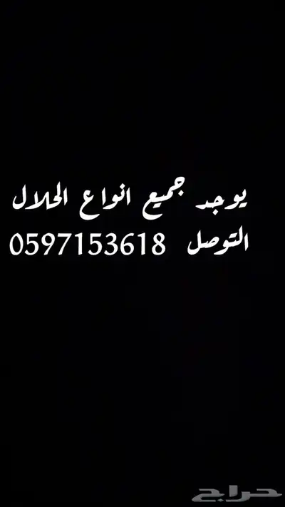 يوجد جميع انواع الحلال البيع 0