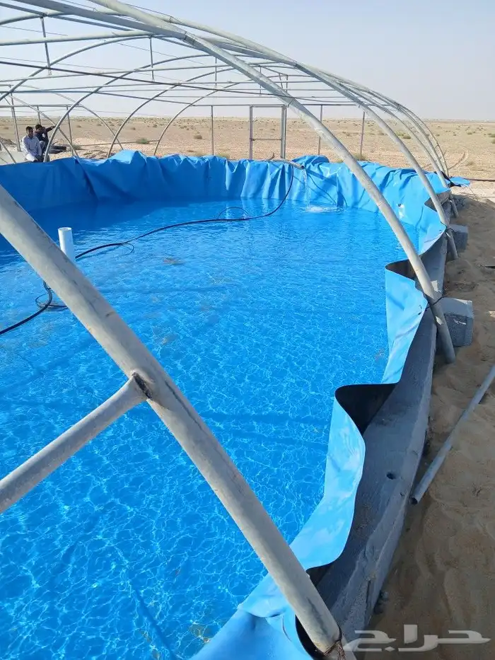 مهندس استزراع سمكي 11