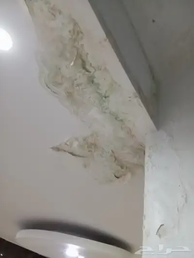 شركة كشف تسربات المياه 0